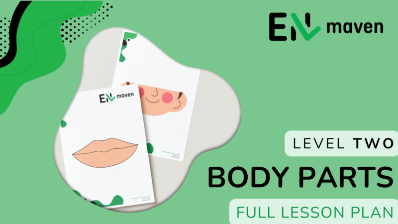 BODY PARTS - LESSON 10